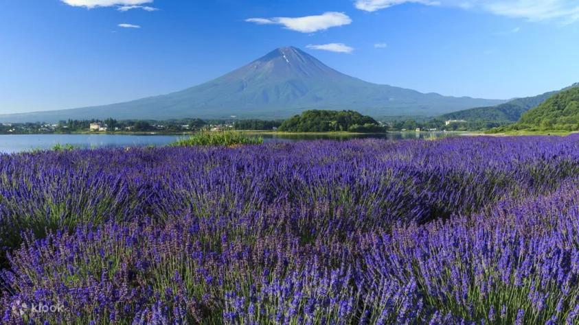 Fuji Cottage 富士河口湖町 エクステリア 写真